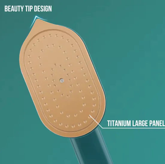 Portable Mini Steam Iron